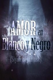 Siyah Beyaz Ask (Amor en blanco y negro) en Espanol
