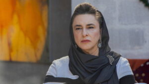 Anne Yarısı todos Episodios en Espanol